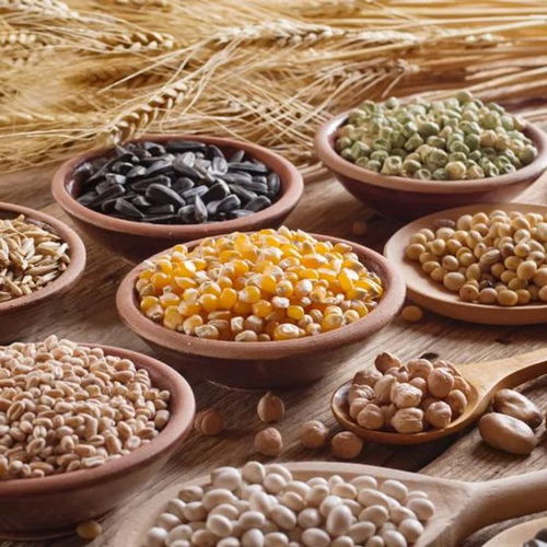 完美產(chǎn)品帶你揭秘藏在膳食纖維里的秘密——棉花種植篇