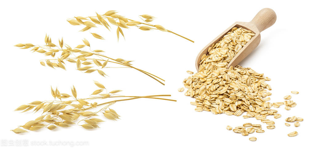 麥片粥與棉花種植 一場跨越時空的農業(yè)對話