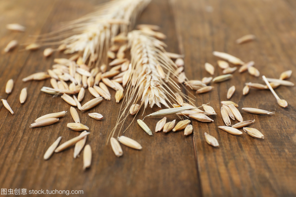 聆聽谷物之語(yǔ) 黑麥在桌面上的微觀敘事